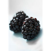 blackberry