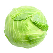 cabbage