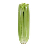 celery