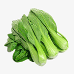 bok choy