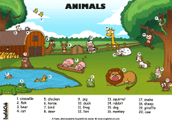 Animals vocabulary