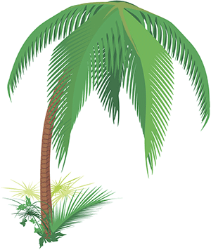 palmtree